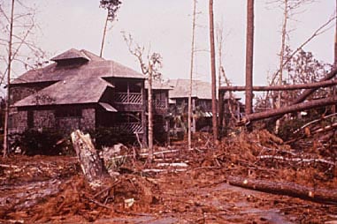 Wind Damaged Houses